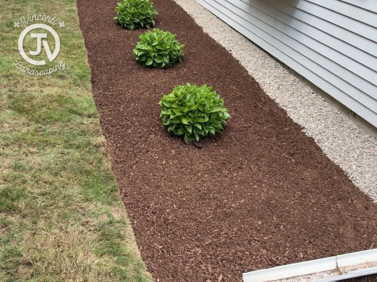 Foundation planting beds by Vincenti Landscaping