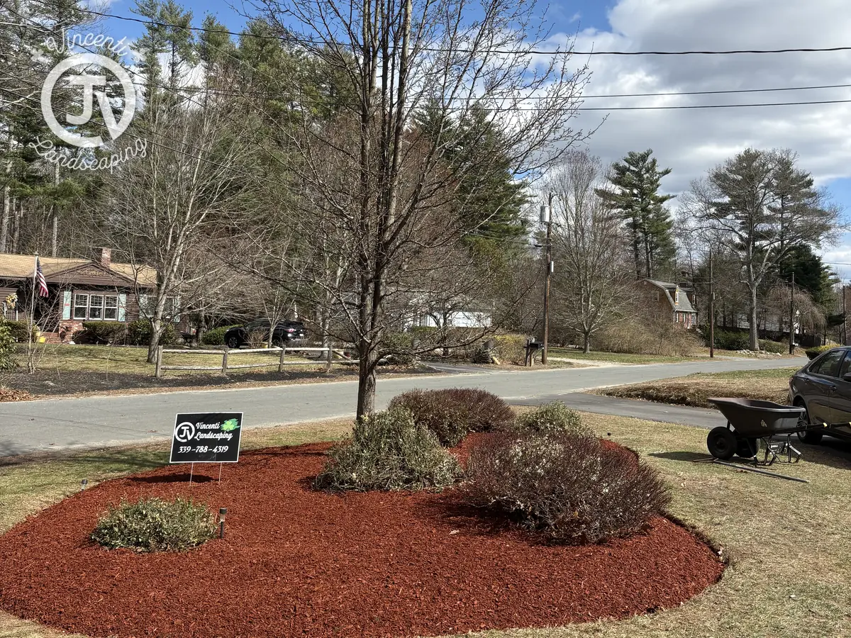 Mulched island planting bed by Vincenti Landscaping