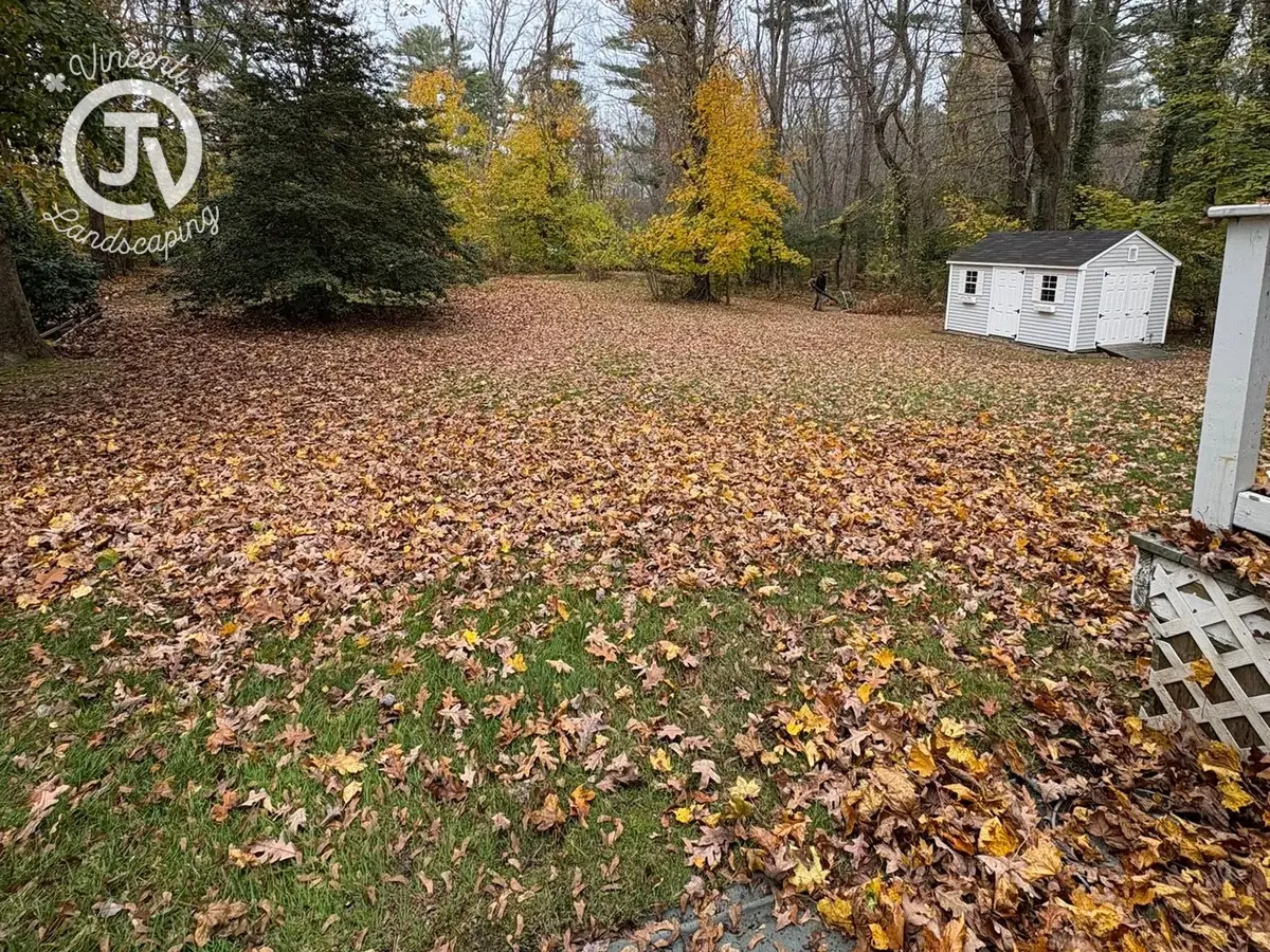 Backyard before fall cleanup by Vincenti Landscaping