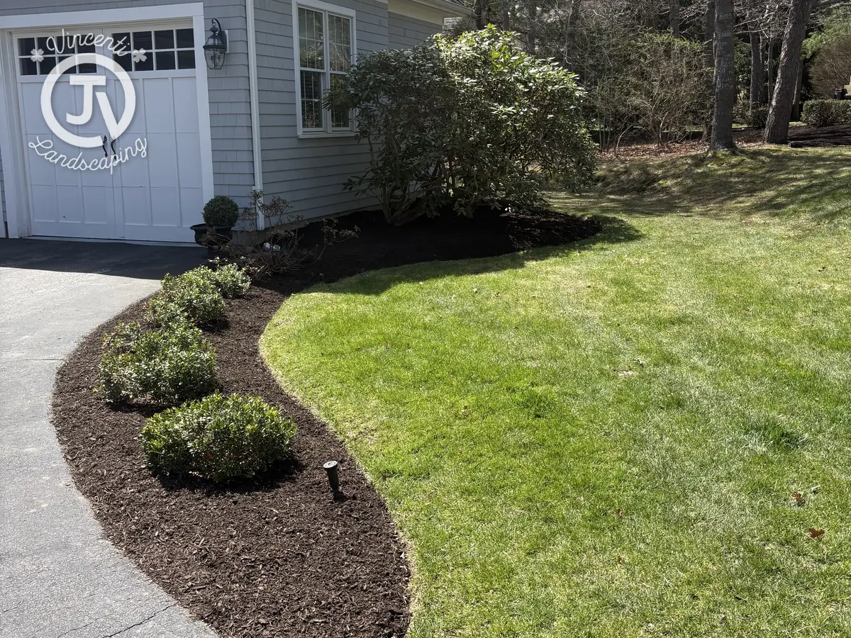 Foundation planting beds with edged lawn by Vincenti Landscaping