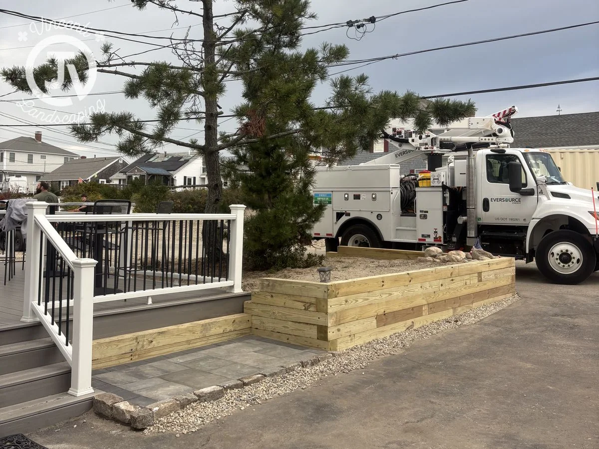 Timber planter wall built around a pine tree by Vincenti Landscaping in Marshfield, MA